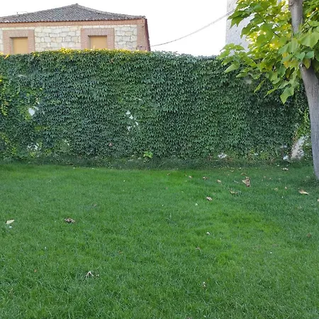 Casa Rural La Cija del Abuelo a 1 hora de Madrid-3